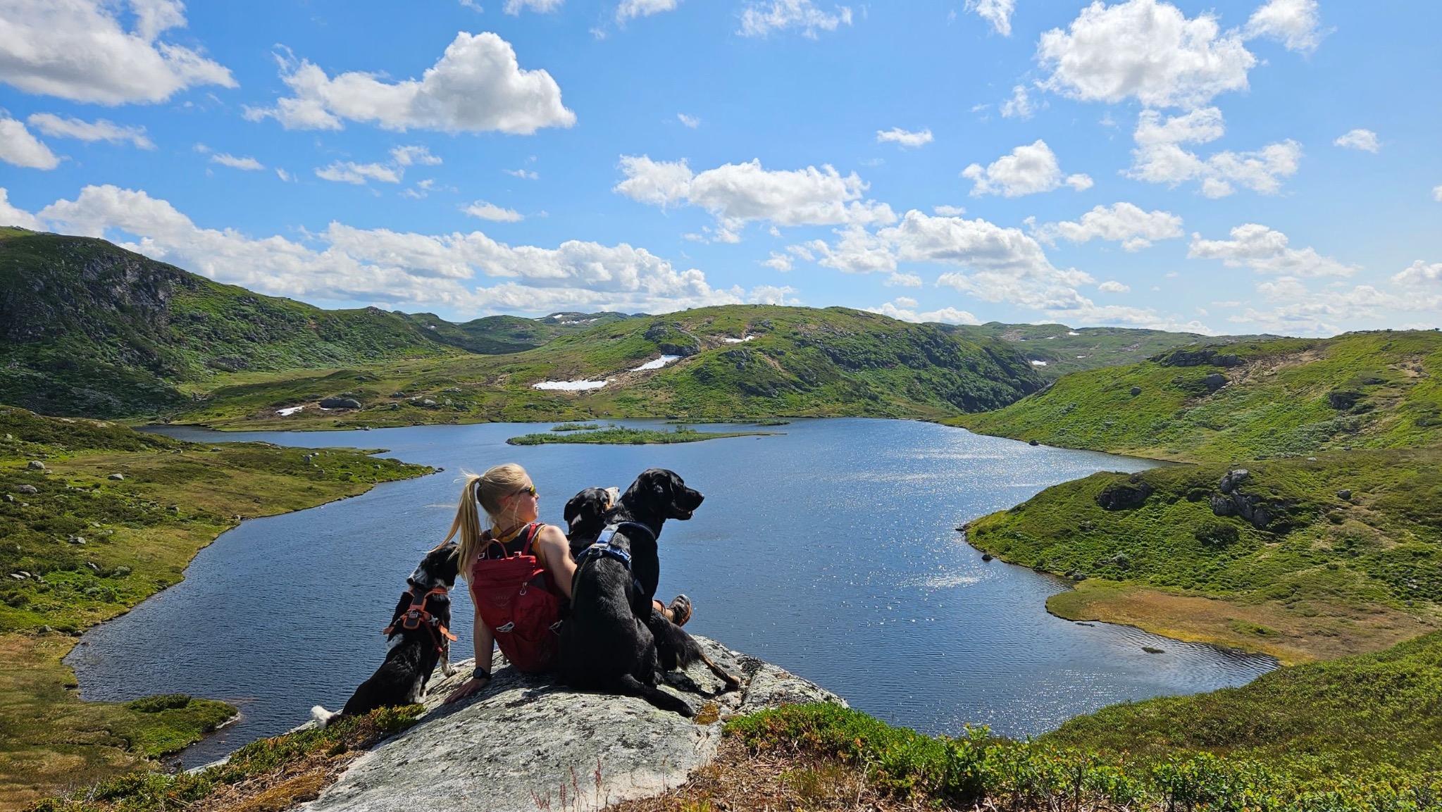 Hund og natur fra kennelopphold hos Hundetrener Synne Åkre