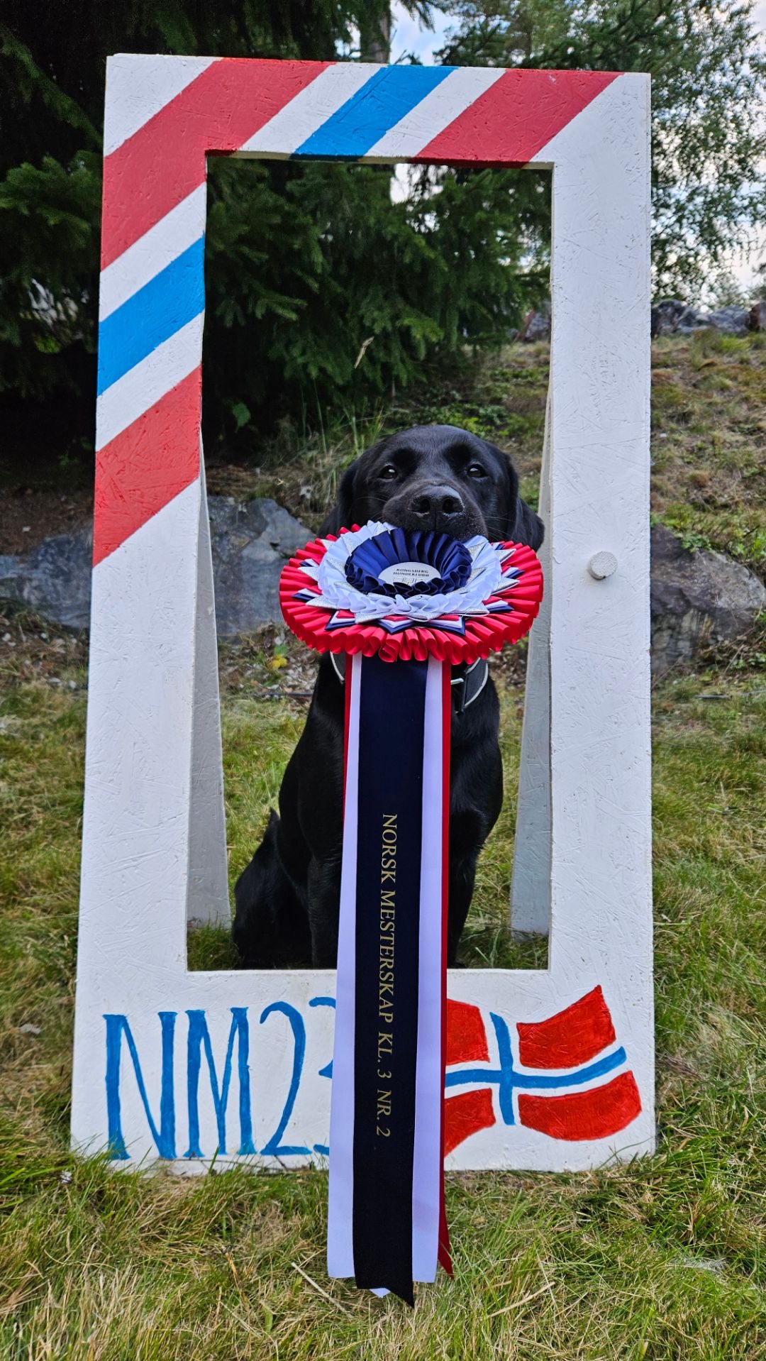 Hund og natur fra kennelopphold hos Hundetrener Synne Åkre