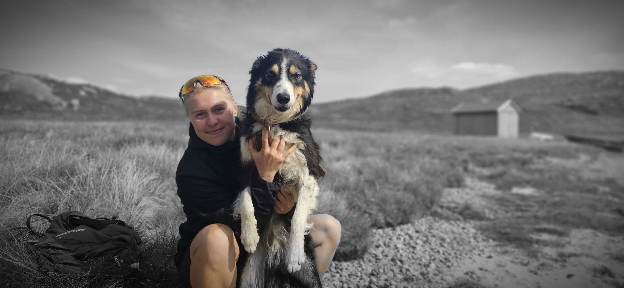 Hund og natur fra kennelopphold hos Hundetrener Synne Åkre