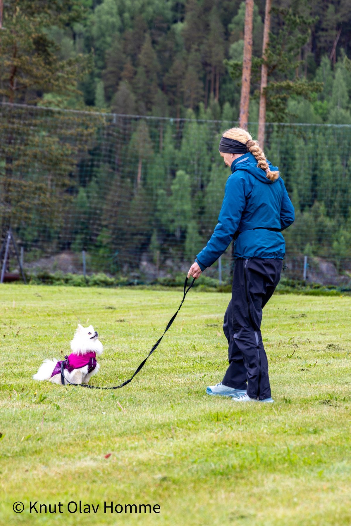 Hundekurs 2026 hos Hundetrener Synne Åkre