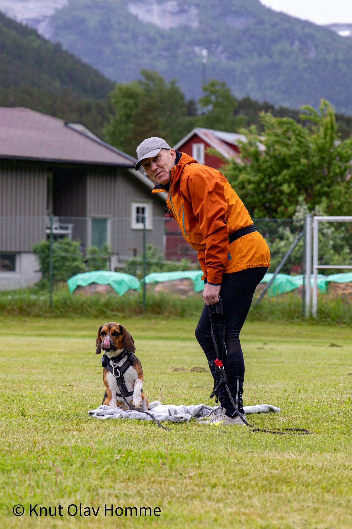 Hundekurs 2026 hos Hundetrener Synne Åkre
