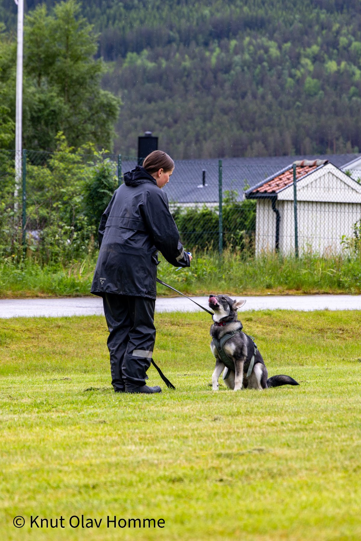Hundekurs 2026 hos Hundetrener Synne Åkre