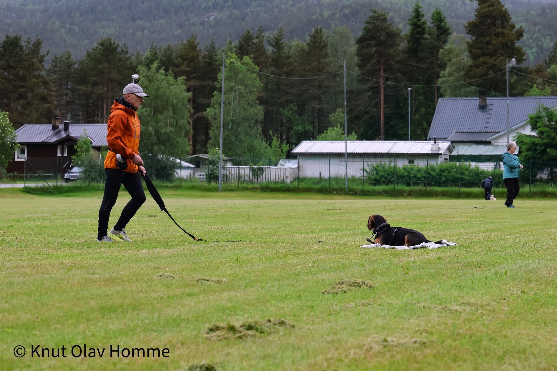 Hundekurs 2026 hos Hundetrener Synne Åkre
