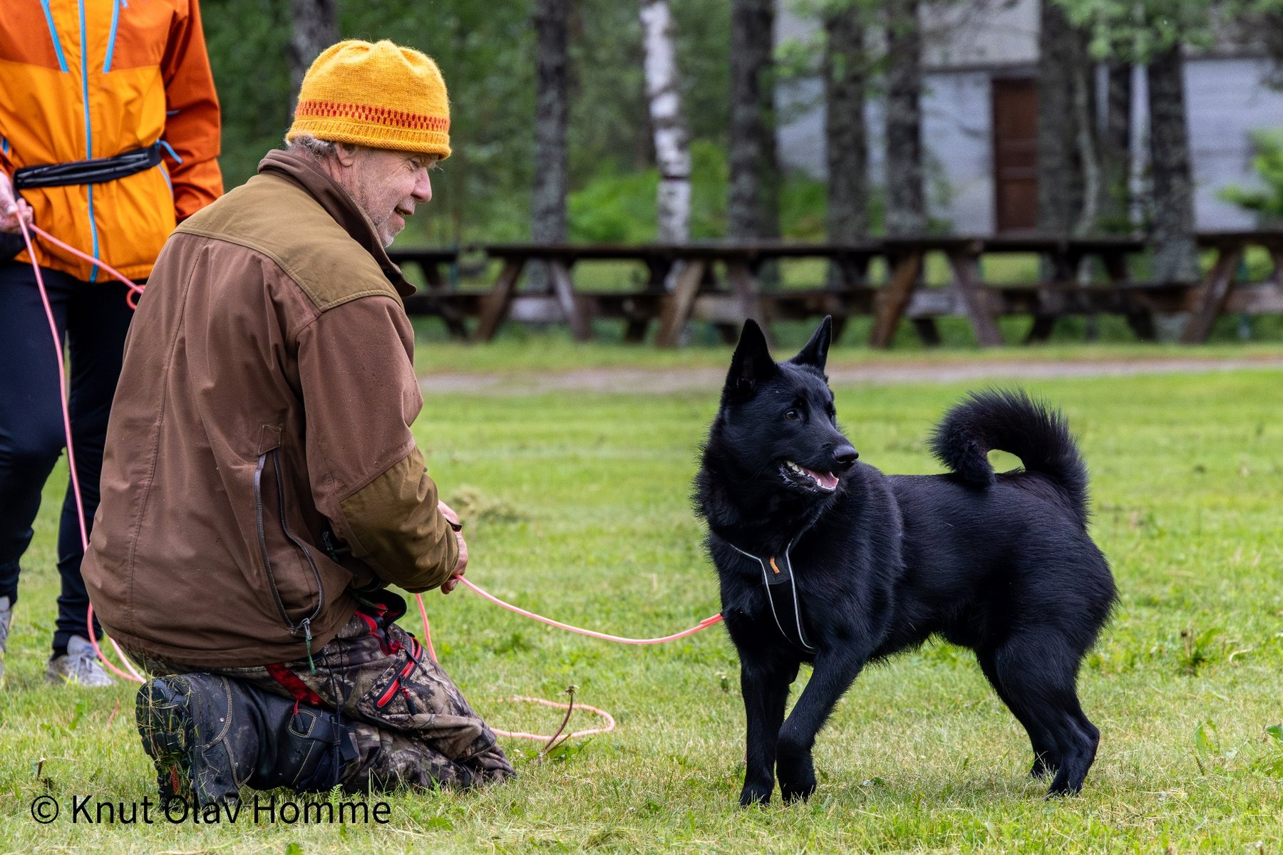 Hundekurs 2026 hos Hundetrener Synne Åkre