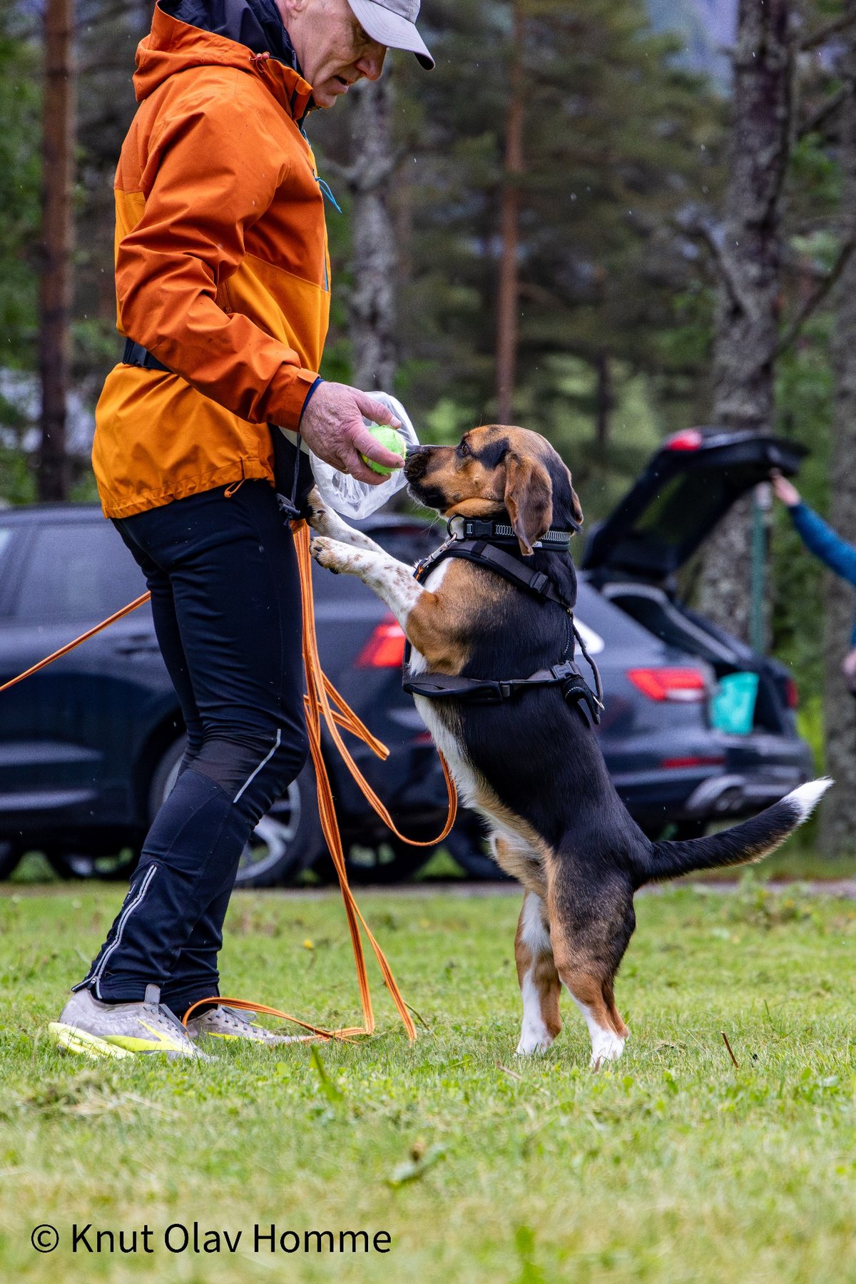 Hundekurs 2026 hos Hundetrener Synne Åkre