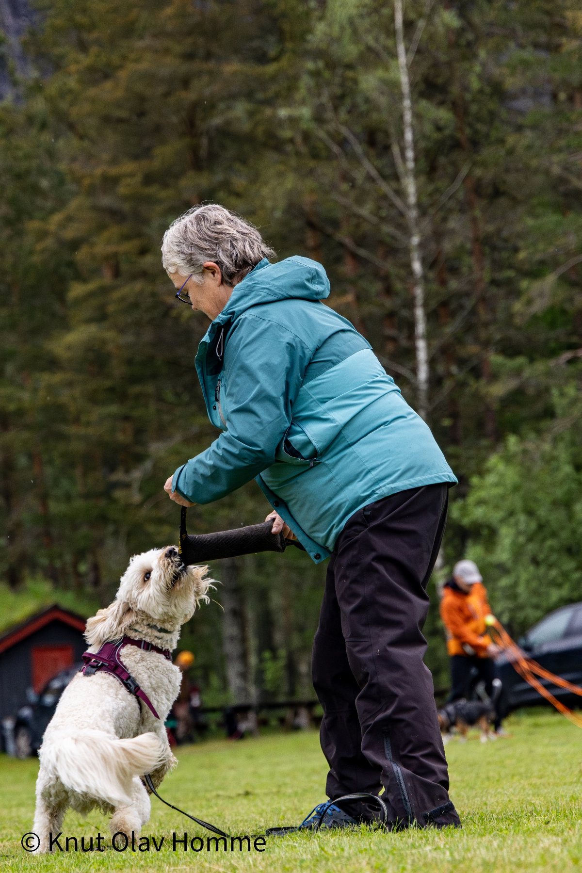 Hundekurs 2026 hos Hundetrener Synne Åkre
