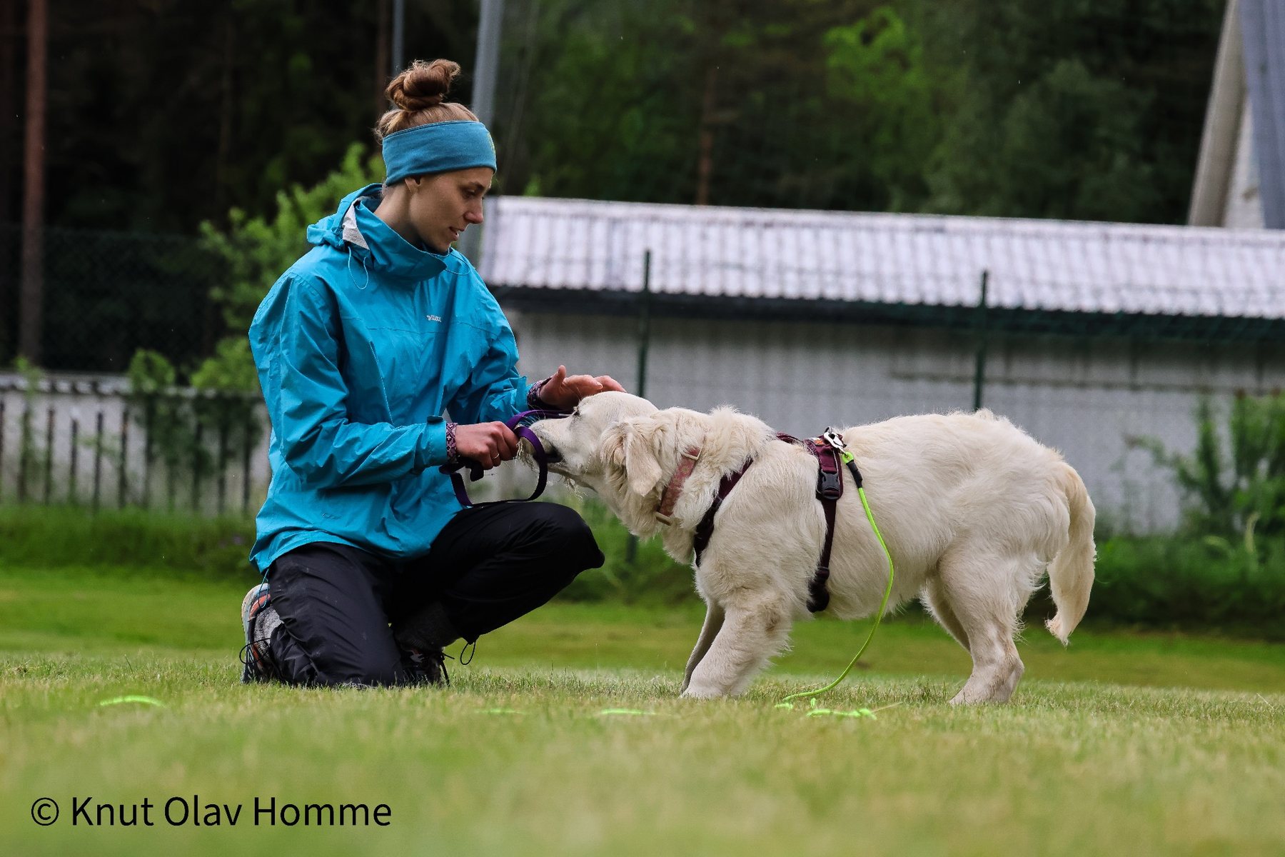 Hundekurs 2026 hos Hundetrener Synne Åkre